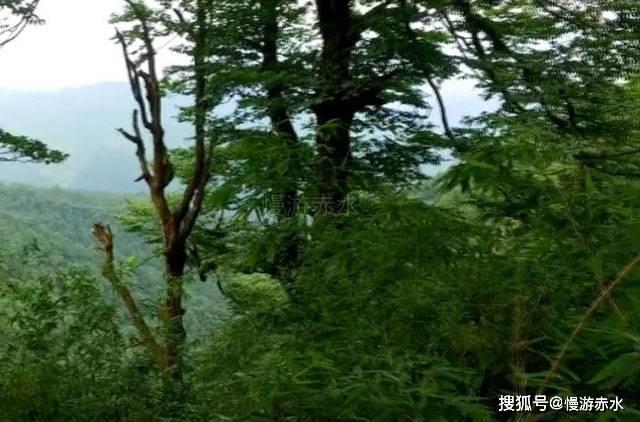 荣誉勋章